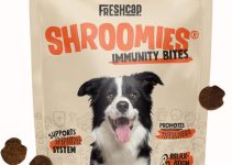 Best Mushroom Supplement for Dogs: Top Picks for Optimal Health