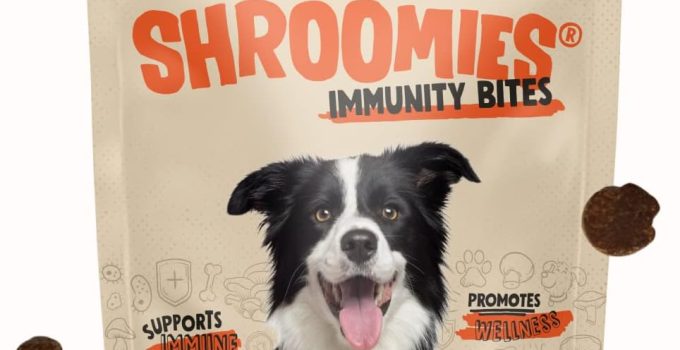 Best Mushroom Supplement for Dogs: Top Picks for Optimal Health
