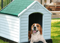 Best Outdoor Dog House for Your Furry Friend in 2023