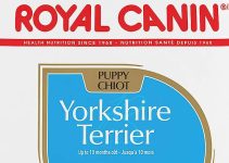Best Puppy Food for Yorkies: Top Picks for a Healthy Diet