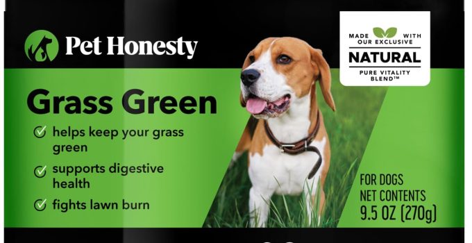 Best Supplement for Dog Urine Killing Grass: Top Picks for 2024