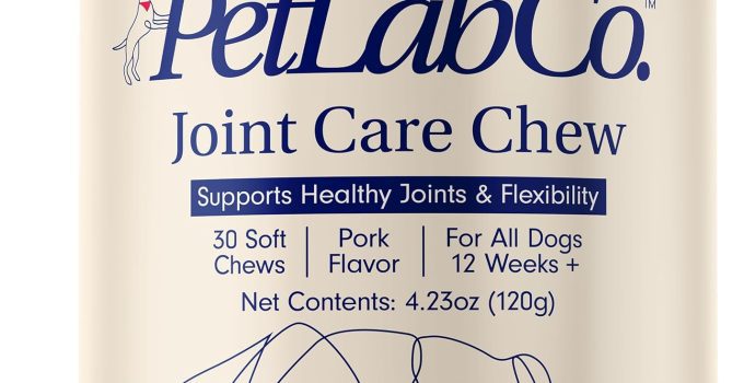 Best Supplement for Dogs with Arthritis: A Comprehensive Guide