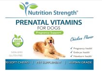 8 Best Supplements for Pregnant Dogs: Essential Nutrients for a Healthy Pregnancy