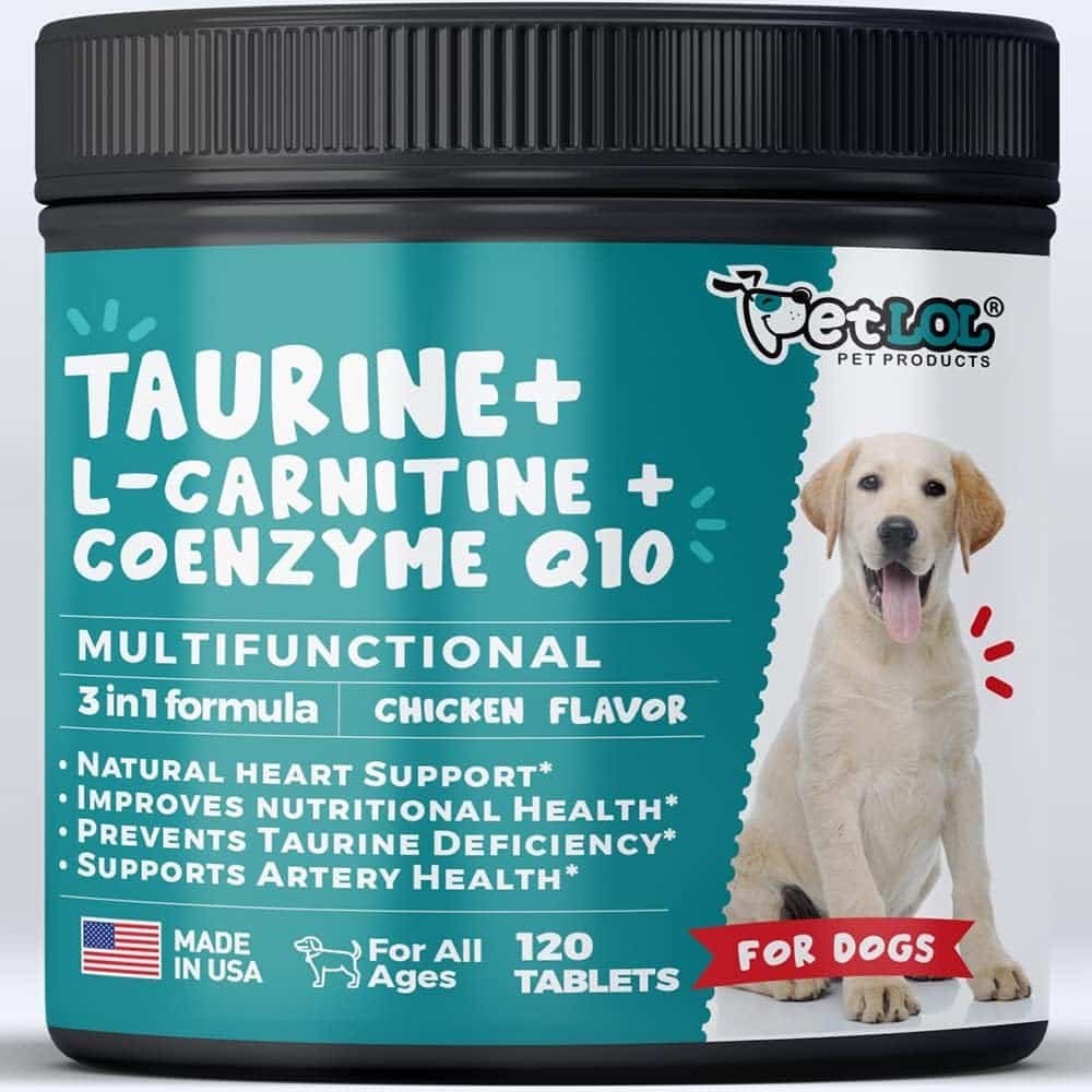 Curated visual reference: Fresh Look at 8 Best Dog Melatonin Supplements For Calming Your Canine Companion