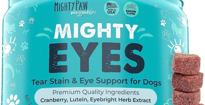 Best Tear Stain Supplement for Dogs: Top Picks in 2024