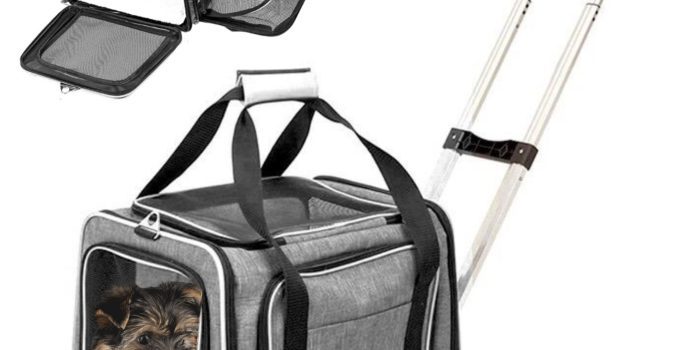 8 Best Airline Approved Dog Carriers for Travel in 2024