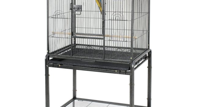 The Best Bird Cage for Your Feathered Friend: 8 Top Picks