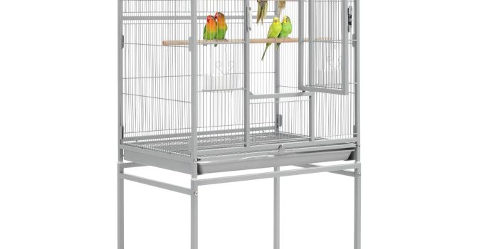 The Best Bird Cage for Budgies: Top Picks for 2024