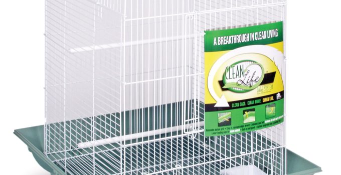 The Best Bird Cage for Cockatiel: 8 Top Picks for 2024
