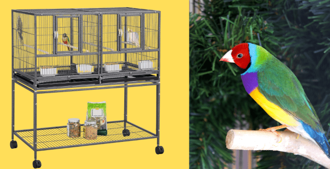 Best Bird Cage for Finches: Top Picks for 2024
