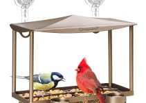 8 Best Bird Feeders for Attracting a Variety of Birds