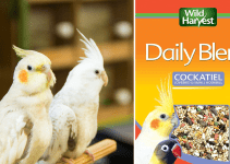 Best Bird Food for Cockatiels: Top 8 Picks for a Healthy Diet