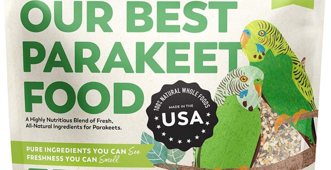 The Best Bird Food for Parakeets: 8 Top Picks for a Healthy Diet