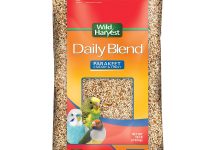 The Best Bird Seed for Parakeets: 8 Top Recommendations