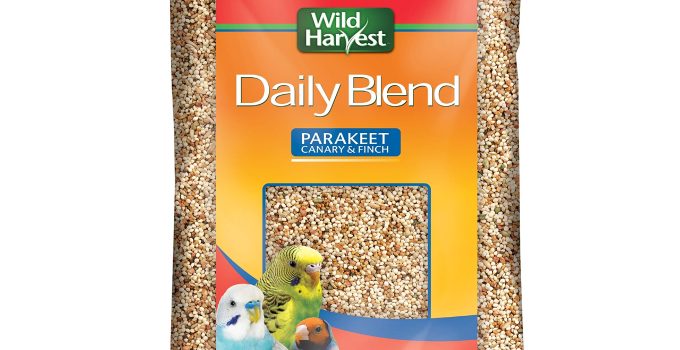 The Best Bird Seed for Parakeets: 8 Top Recommendations