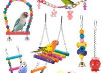 8 Best Bird Toys for Your Feathered Friends