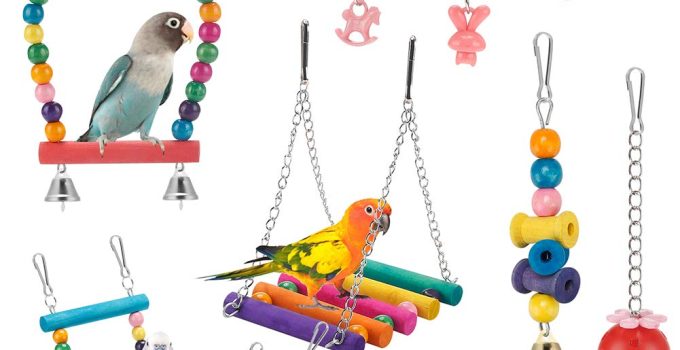 8 Best Bird Toys for Your Feathered Friends