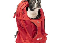 The Best Dog Backpack Carrier for Hiking: Top Picks for 2024