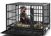 The Best Dog Crate for Separation Anxiety: Top Picks for 2024