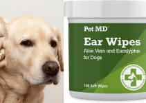 Best Dog Ear Cleaners: Top 8 Products for 2024
