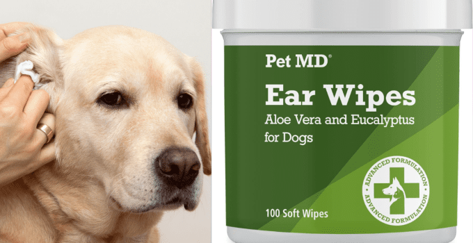 Best Dog Ear Cleaners: Top 8 Products for 2024