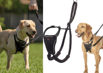Best Dog Harness to Stop Pulling: Top Picks for 2024