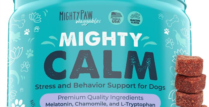 8 Best Dog Melatonin Supplements for Calming Your Canine Companion