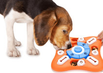 7 Best Dog Toy Puzzles: Engage Your Pet’s Mind and Keep Them Entertained