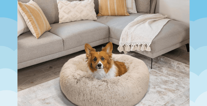 Best Donut Dog Bed for a Cozy and Comfortable Sleep