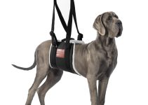 8 Best Emotional Support Dog Harnesses for Comfort and Security