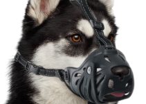 8 Best Muzzle for Dogs That Bite: Top 5 Options for 2024