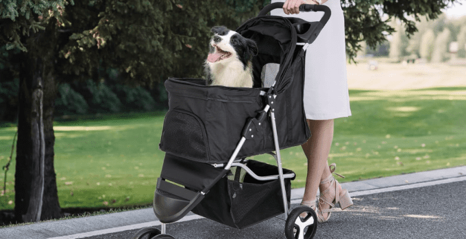 The Best Stroller for Small Dogs: Top Picks for 2024