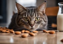 Can Cats Drink Almond Milk? Your Guide to Feline Nutrition