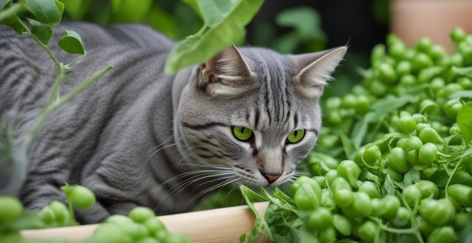 Can Cats Eat Peas? Feline Nutrition Tips
