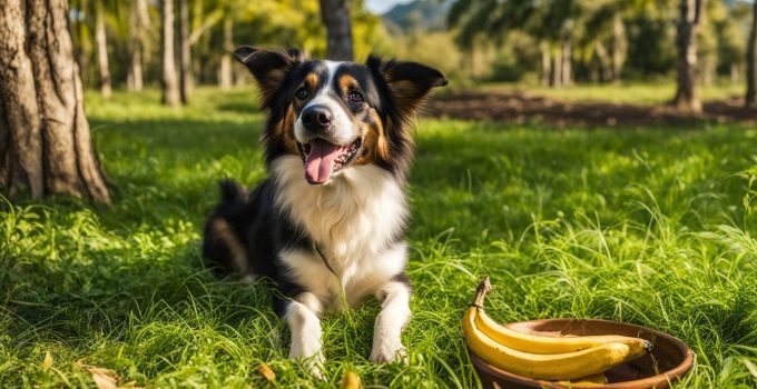 Can Dogs Eat Plantains? Safe Feeding Tips