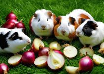Can Guinea Pigs Eat Onions? Essential Pet Diet Tips