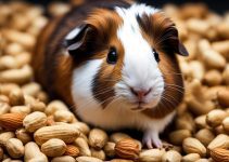 Can Guinea Pigs Eat Peanuts? Quick Guide