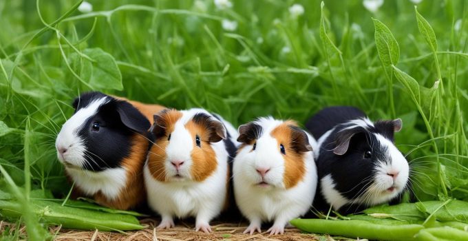 Can Guinea Pigs Eat Peas? Nutrition Facts Revealed