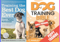 Dog Training Books: Top Picks for 2024