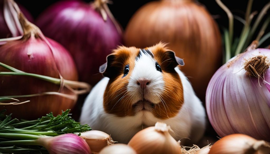 guinea pig onion health risks