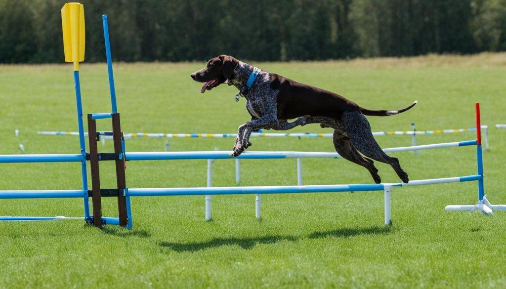 German Shorthaired Pointer training tips