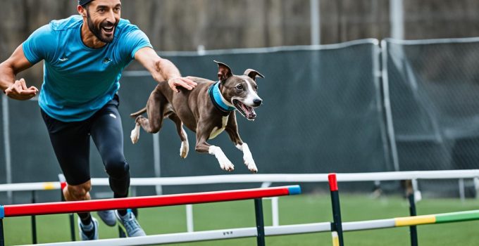 Easy Italian Greyhound Training Tips & Tricks 2024