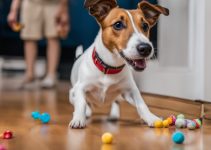 7 Important Jack Russell Terrier Training Tips