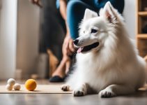 Practical Japanese Spitz Training: 5 Tips for Your Furry Friend
