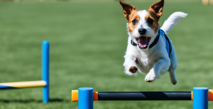 Discover Russell Terrier Training Tips: 5 Easy Techniques