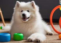 6 Samoyed Training Tips for a Happy Pup