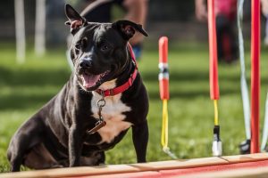 Unlock Staffordshire Bull Terrier Training With 5 Successful Tips