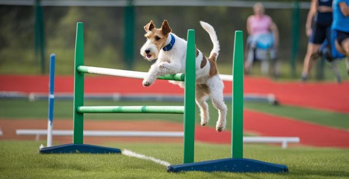 Wire Fox Terrier Training: 5 Essential Benefits of Obedience Training