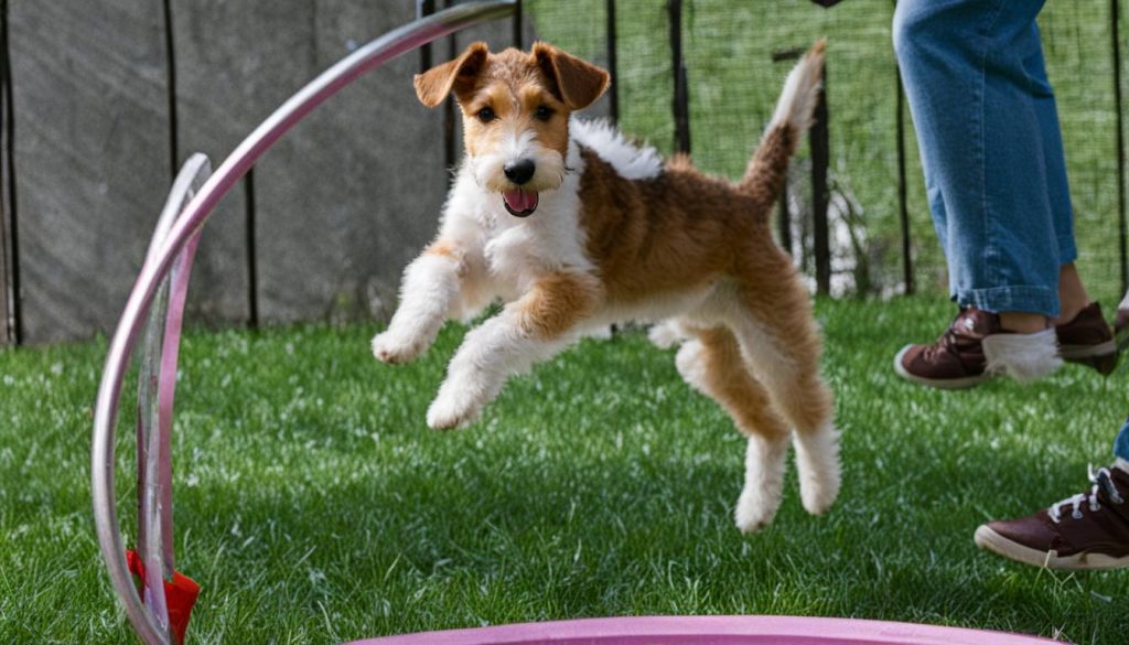 wire fox terrier puppy training