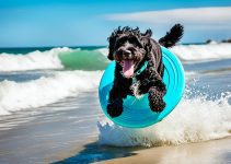 Are Portuguese Water Dogs Smart: Discover Its 6 Amazing Characteristics